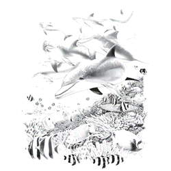 THE LIVING SEA 09957SA2.gif